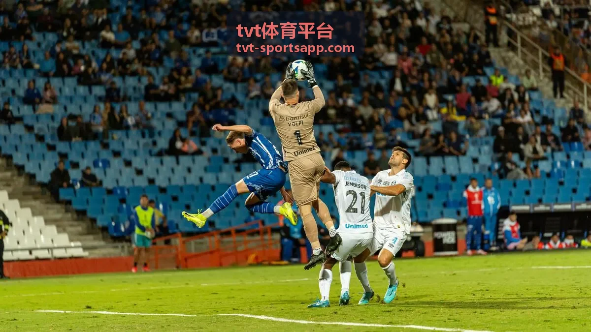 tvt体育平台数据看板界面